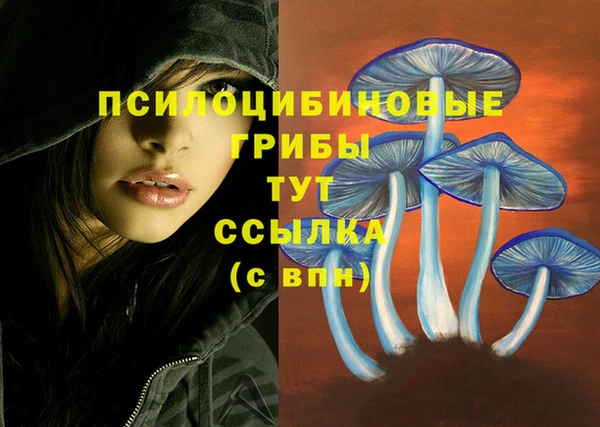 спайс Архангельск